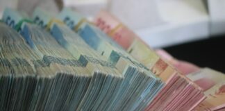 налоговый вычет, декларации, СГД, Служба госдоходов