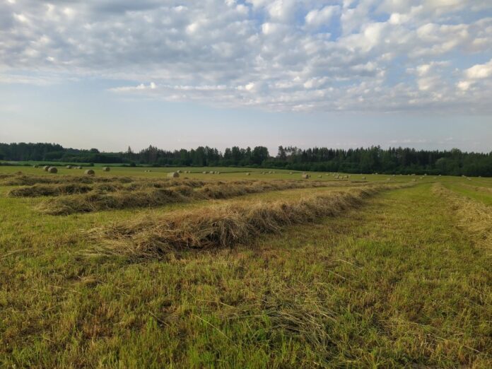 сельское хозяйство Эстонии, пищевое производство, кризис
