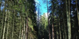 погода в Латвии, выходные, весна, апрель