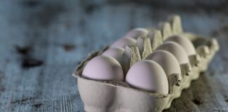 пищевые отходы, экология, климат, экономия, малоимущие