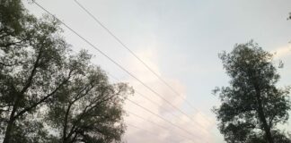 энергоресурсы, потребление, статистика