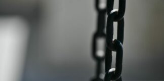 секта, эксплуатация рабочей силы, полиция, обыски