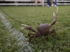REUTERS/SCANPIX