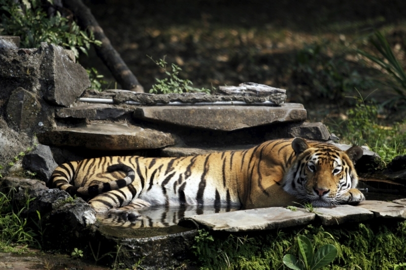 Автор: REUTERS/SCANPIX