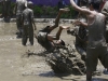 Автор: REUTERS/SCANPIX