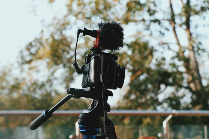 СМИ, массмедиа, господержка